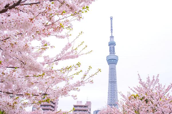 方便出行性价比高 亚洲10大最热门旅游城市,影视