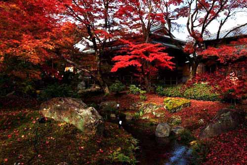 拒绝看人海 日本冷门旅行地,影视