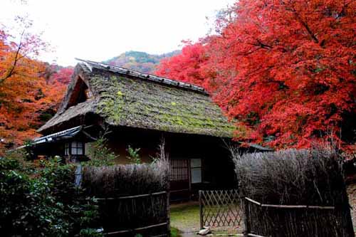 拒绝看人海 日本冷门旅行地,影视