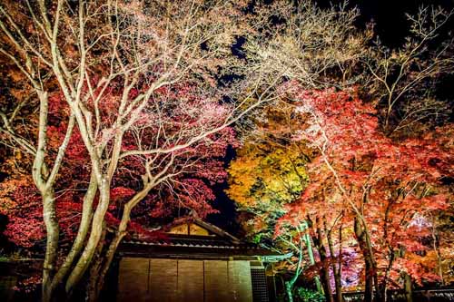 拒绝看人海 日本冷门旅行地,影视