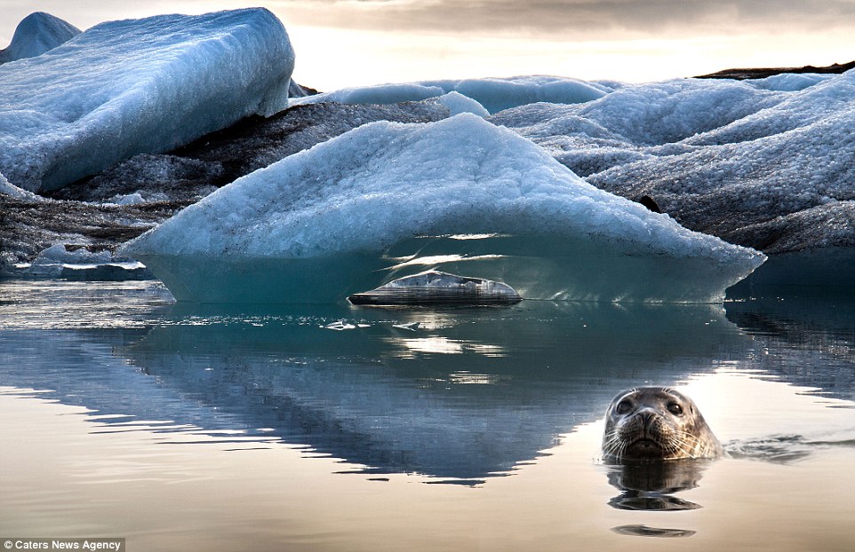 旅游胜地冰岛冰川消逝之美：神奇秀丽冰川,影视