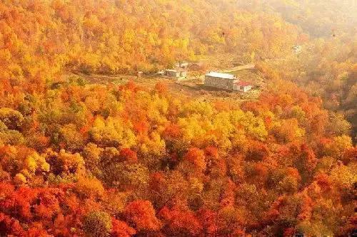 趁秋天还在！各省秋景“花魁”名单拿好不送,影视