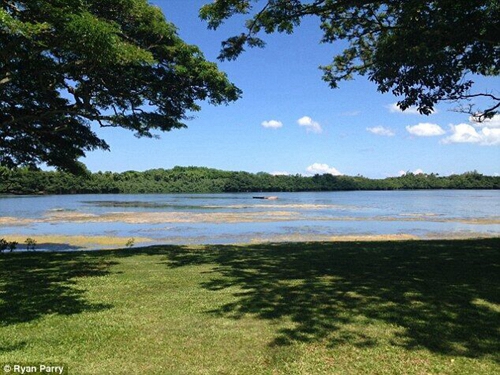 欧胡岛旅游-夏威夷的心脏 夏威夷州首府,影视