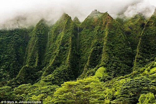 欧胡岛旅游-夏威夷的心脏 夏威夷州首府,影视