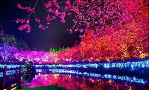 赏花与美食 在最美的季节遇见台湾,影视