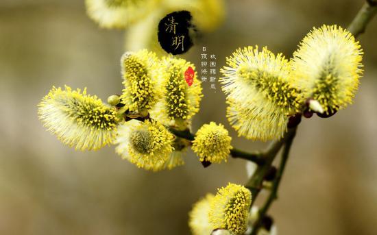 清明时节各地美食大汇总,影视