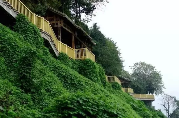 重庆最美山城步道，每个都值得你细细走一遍,影视