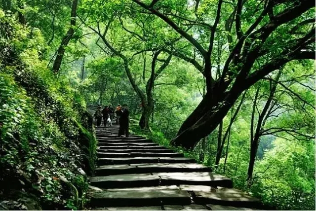 重庆最美山城步道，每个都值得你细细走一遍,影视