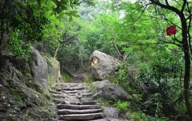 重庆最美山城步道，每个都值得你细细走一遍,影视