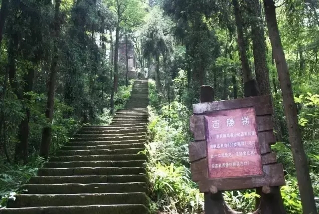重庆最美山城步道，每个都值得你细细走一遍,影视