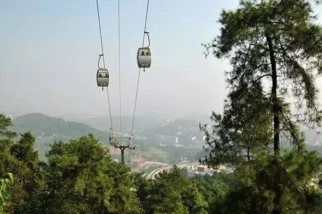 重庆最美山城步道，每个都值得你细细走一遍,影视