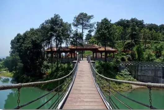 重庆最美山城步道，每个都值得你细细走一遍,影视