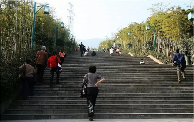 重庆最美山城步道，每个都值得你细细走一遍,影视