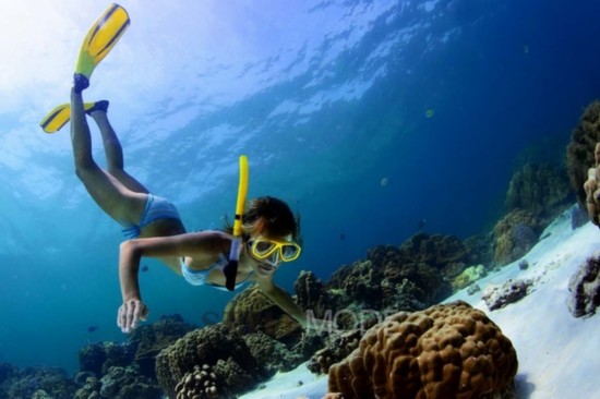海岛游:全球最美浮潜地,影视