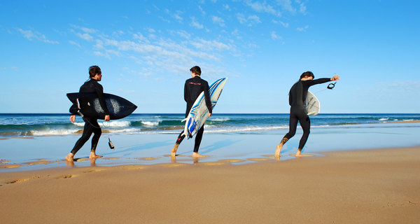 南澳大利亚州菲尔半岛:冲浪者的天堂维特品格和布马,影视