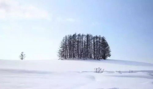日本最著名摄影圣地:北海道美瑛町—青池 奈良,影视