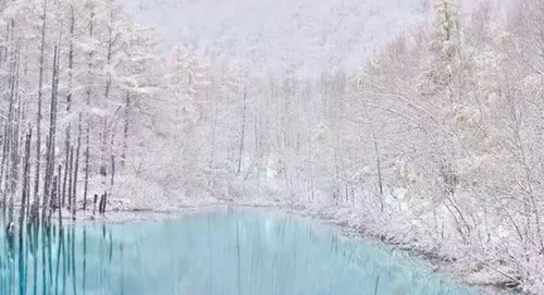 日本最著名摄影圣地:北海道美瑛町—青池 奈良,影视
