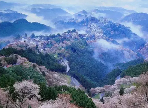 日本最著名摄影圣地:北海道美瑛町—青池 奈良,影视