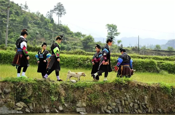 中国太大，15个绝美西南小众地等你来纳凉！,影视