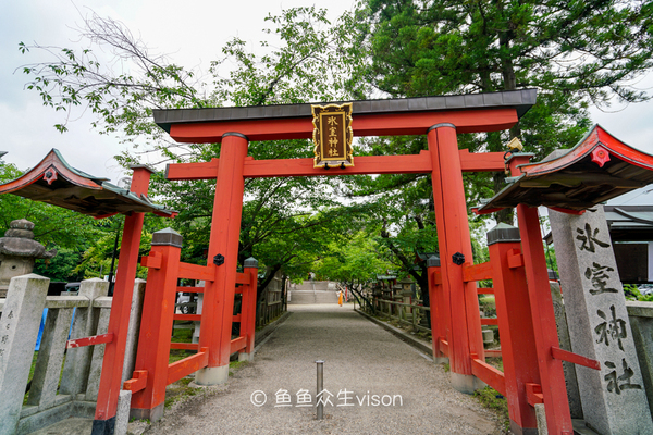 大阪，总有个地方一见倾心,影视