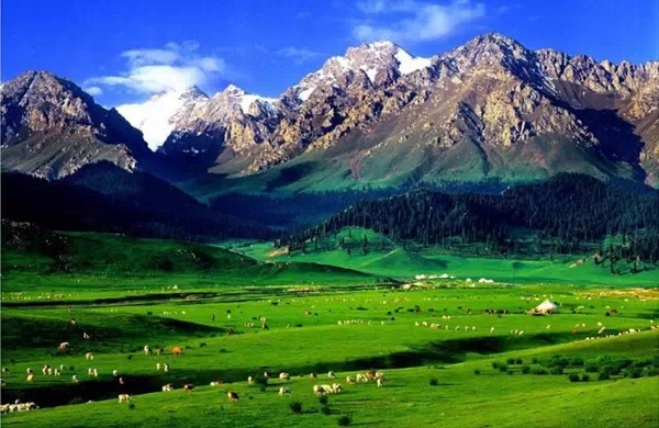新疆夏天:骆驼峰看赛里木湖-行走夏特古道-观赏伊犁,影视