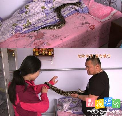 与蛇共眠 蛇窝掏金 方宵宵养蛇 致富经2015.6.2,影视