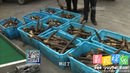 我爱发明尖笋出壳自动剥笋机 临安於潜镇陈豪,影视