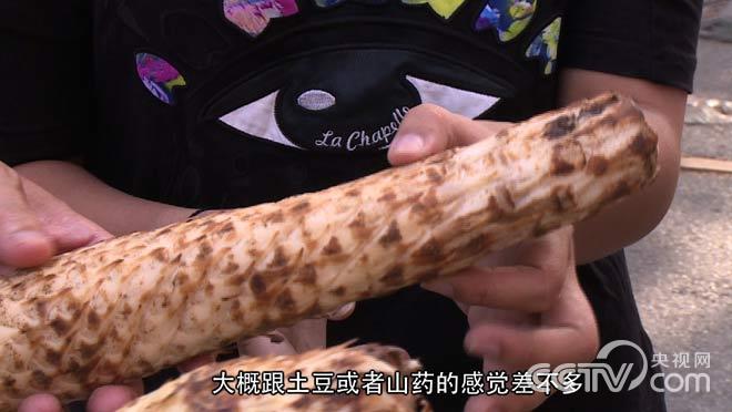 大漠中寄生的财富魏均 沙漠黄金 CCTV7致富经,影视
