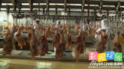 骨肉分离机 我爱发明骨肉分离机 黑龙江张百春