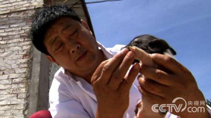 天津孙友民湖南土猪养殖 致富经孙友民养湖南土