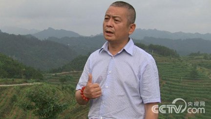 向功平返乡创业 向功平被看作疯子背后的财富