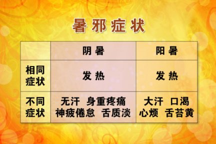 祛暑过伏天2香薷 林黛玉喝香薷饮解暑 王玉光