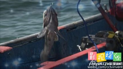 深海垂钓 我爱发明深海垂钓 大连郭连谋防挂钓坠
