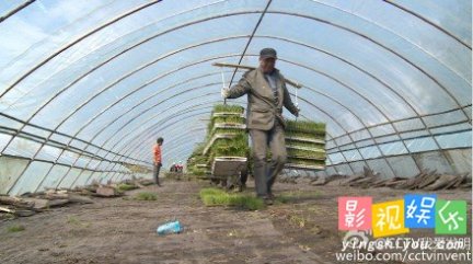 运苗快车 我爱发明运苗快车 佳木斯姜海波拉苗机