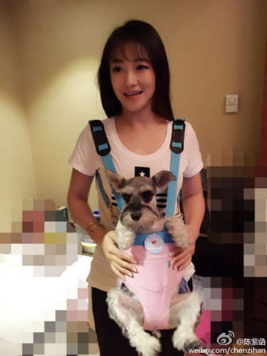 陈紫函抱爱犬