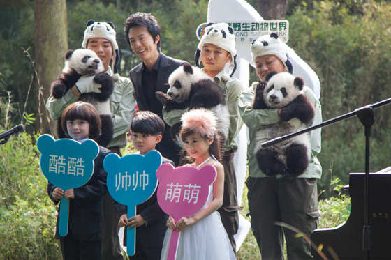 全球唯一熊猫三胞胎名字公布 李云迪现场演奏祝福