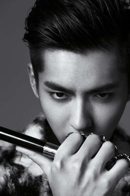 吴亦凡正式加盟2015浙江卫视跨年演唱会