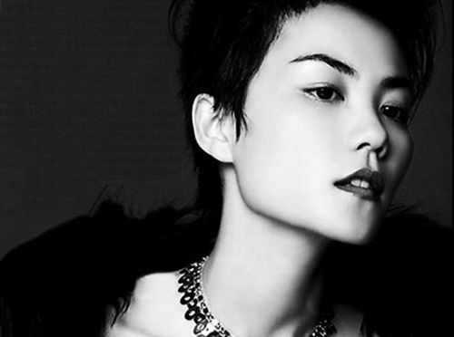 王菲：2014百度沸点最佳女歌手