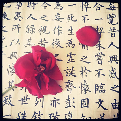 赵秦—毛笔字