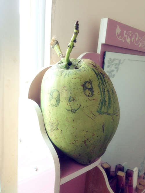 阿sa为小女孩画的椰子娃娃