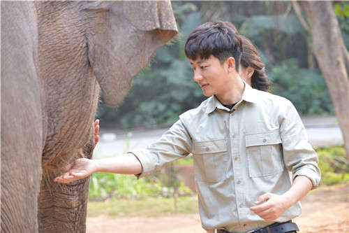 惊险：黄轩遭大象猛踹