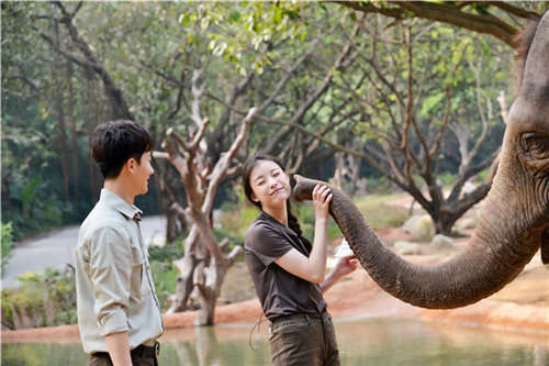 大象也是“颜值控” 狂追倪妮黄轩被踹翻