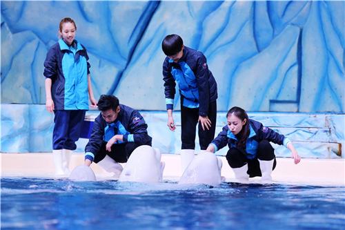(看点)《奇妙的朋友》大年初三海洋王国会师 欢喜逗乐妙趣上演