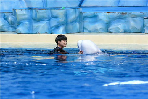 《奇妙的朋友》最默契搭档登场  李宇春与白鲸Tiber“神配合”