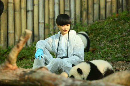《奇妙的朋友》大熊猫让李宇春崩溃