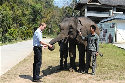 威廉王子中国上演《奇妙的朋友》发表演讲呼吁保护野生动物
