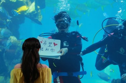 我们相爱吧慌张夫妇 乔任梁潜水水下表白徐璐